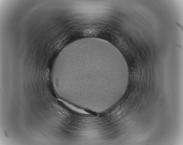 X0000097830649200804111040