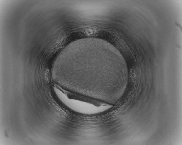 X0000097830650200804111040