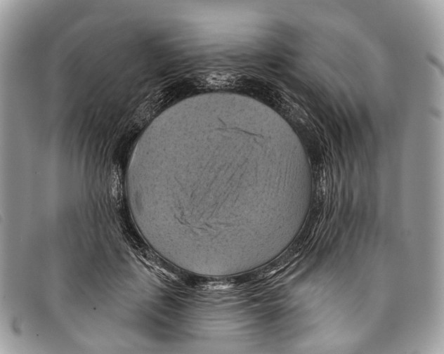 X0000097830651200804111040