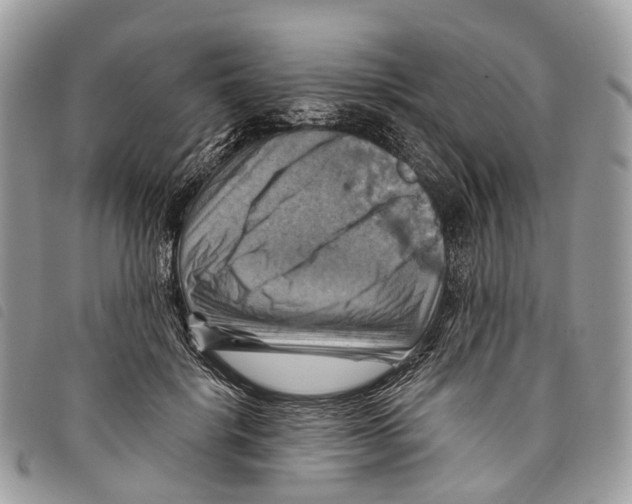 X0000097830652200804111040