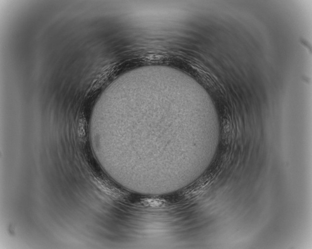 X0000097830654200804111040