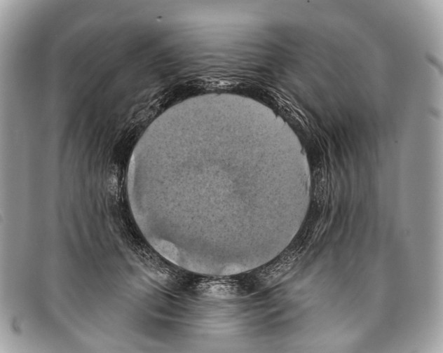 X0000097830655200804111040