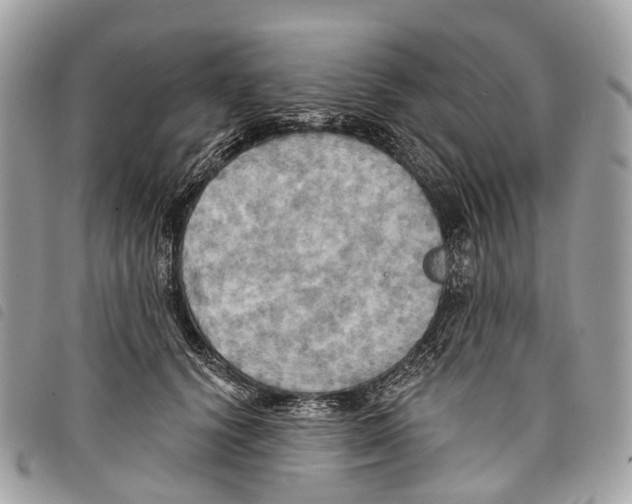 X0000097830656200804111040