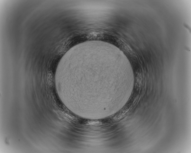 X0000097830659200804111040