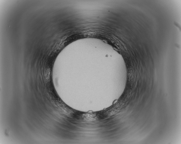 X0000097830660200804111040