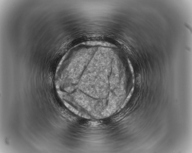 X0000097830662200804111040