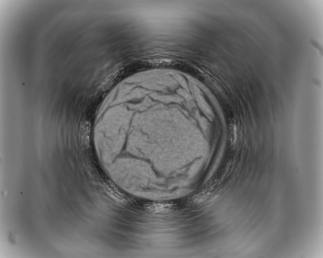 X0000097830664200804111040