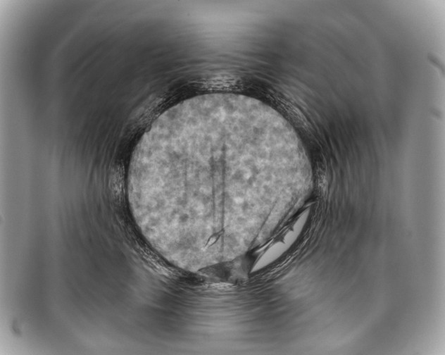 X0000097830665200804111041