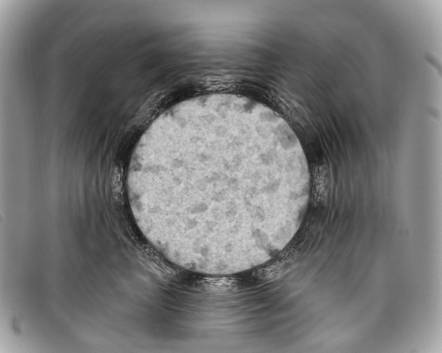 X0000097830667200804111041