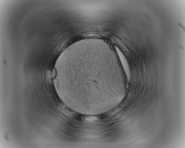 X0000097830669200804111041