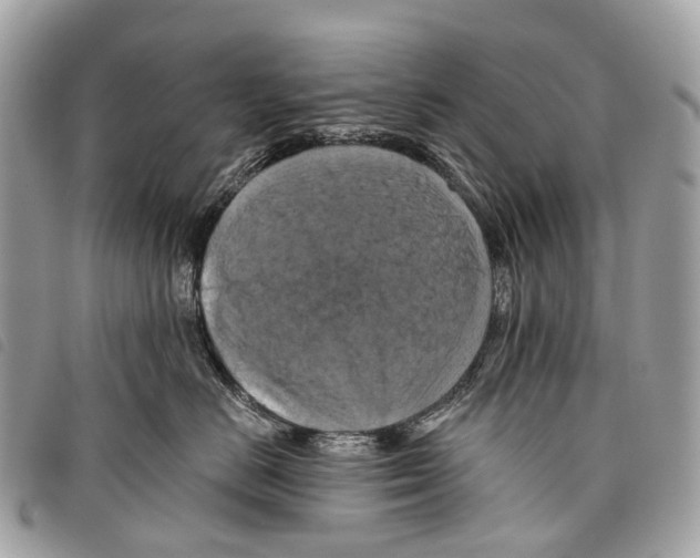 X0000097830670200804111041