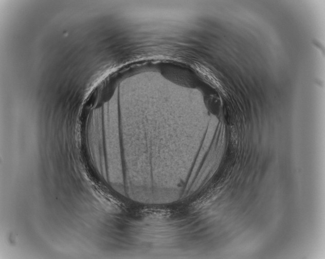 X0000097830676200804111040