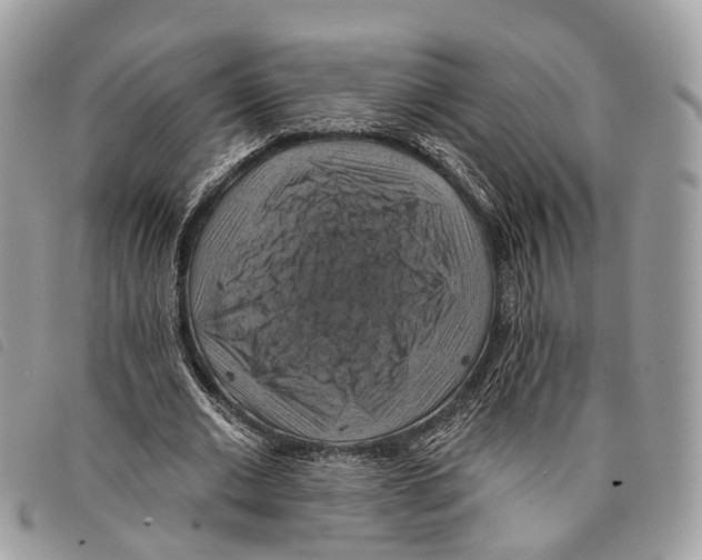 X0000097830677200804111040