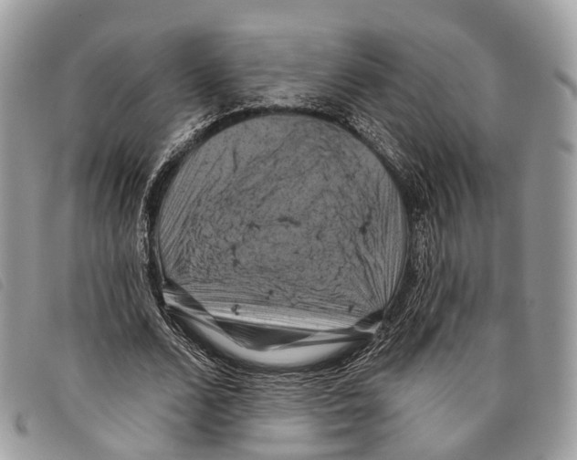 X0000097830680200804111040