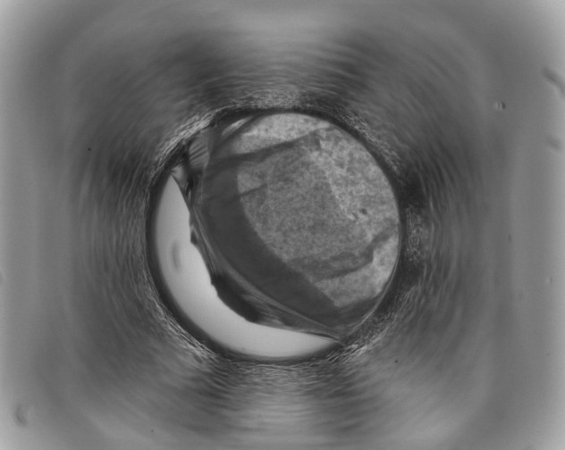 X0000097830681200804111040