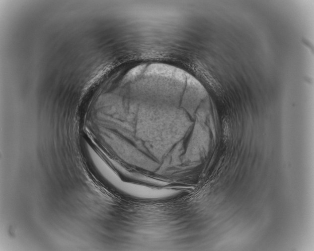 X0000097830684200804111040