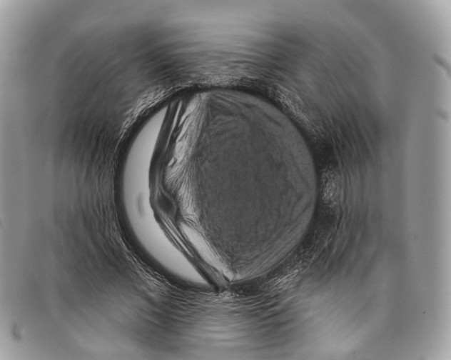 X0000097830685200804111040