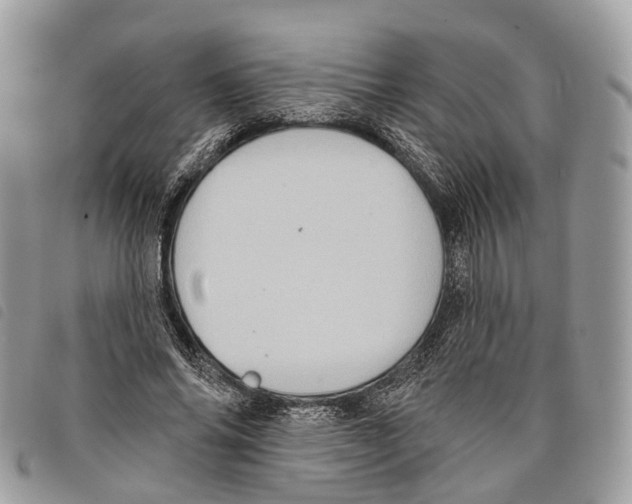 X0000097830686200804111040