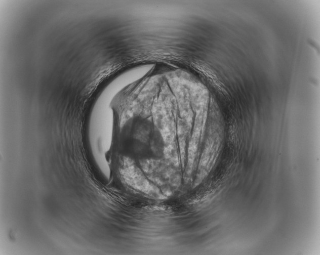 X0000097830687200804111040