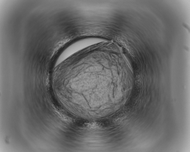 X0000097830688200804111040