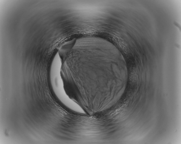 X0000097830689200804111040