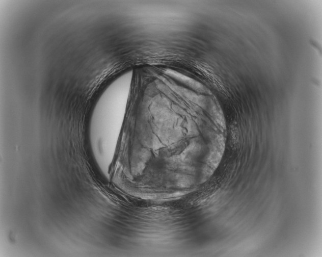 X0000097830691200804111040