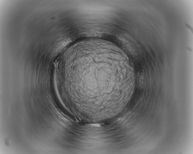 X0000097830692200804111040