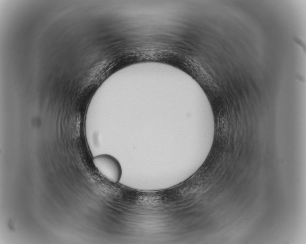 X0000097830694200804111040