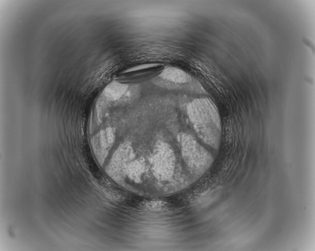 X0000097830695200804111040