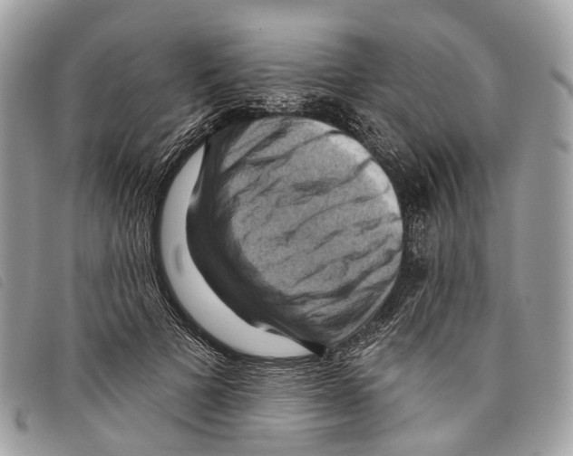 X0000097830697200804111040