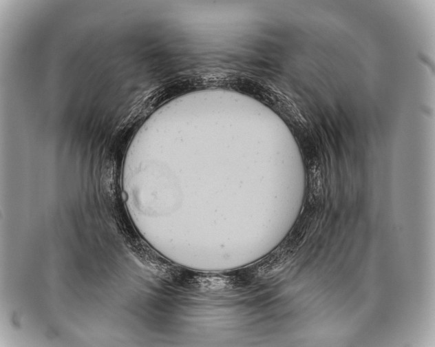 X0000097830698200804111040