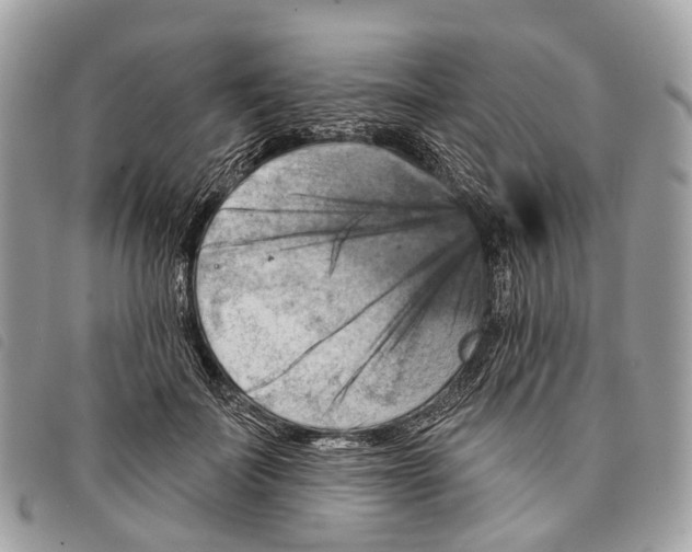 X0000097830699200804111040