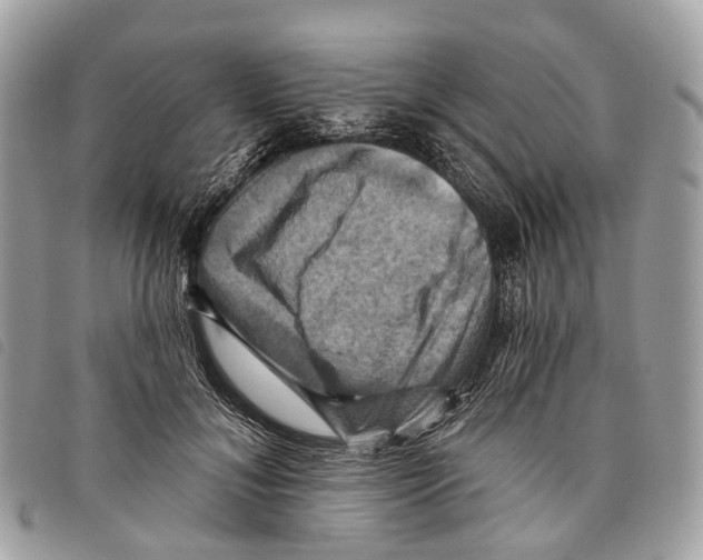 X0000097830700200804111040