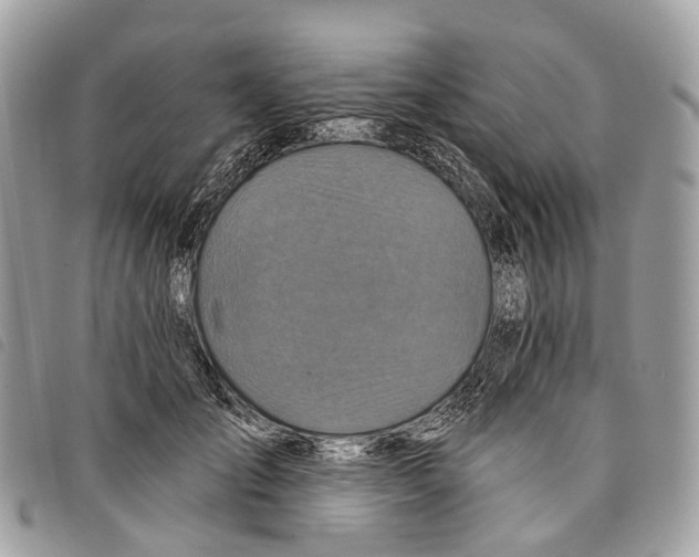 X0000097830701200804111040