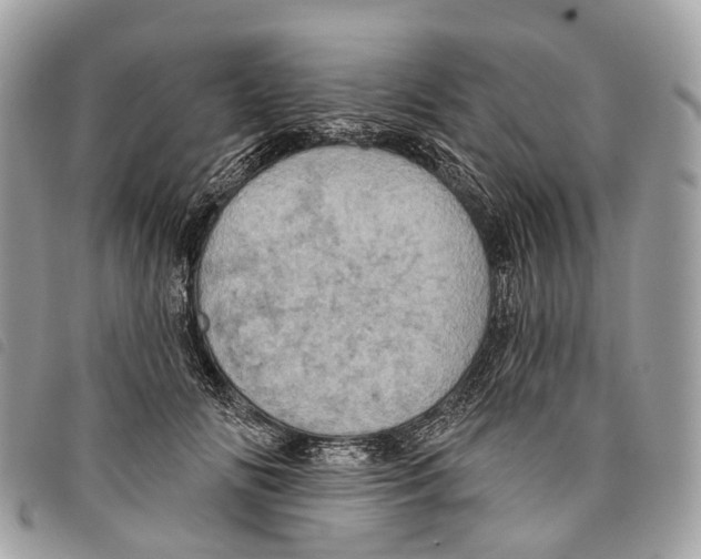 X0000097830702200804111040