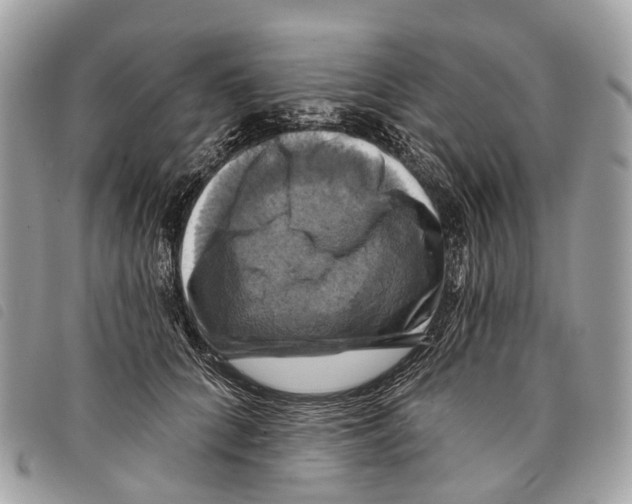 X0000097830704200804111039