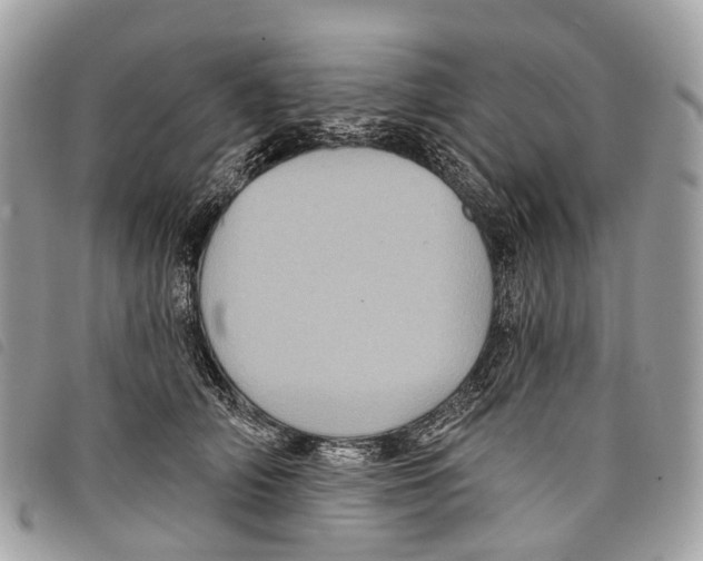 X0000097830706200804111039