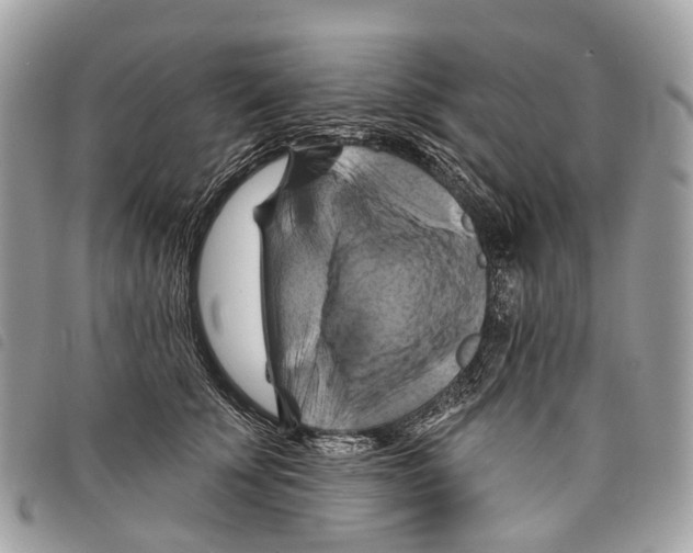 X0000097830707200804111039