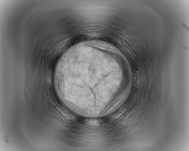 X0000097830710200804111039