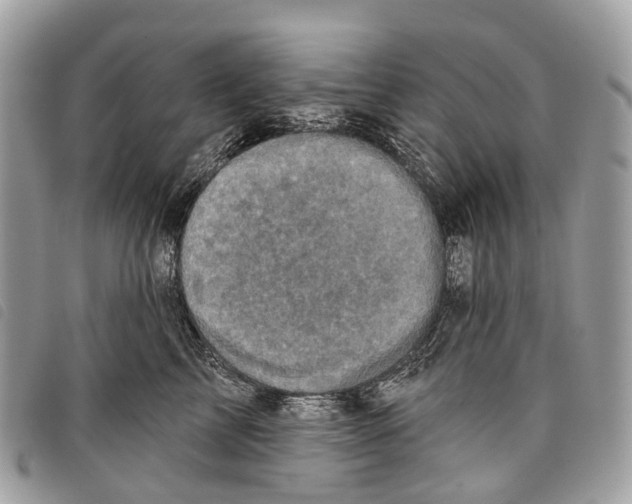 X0000097830713200804111039