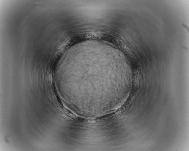 X0000097830716200804111039