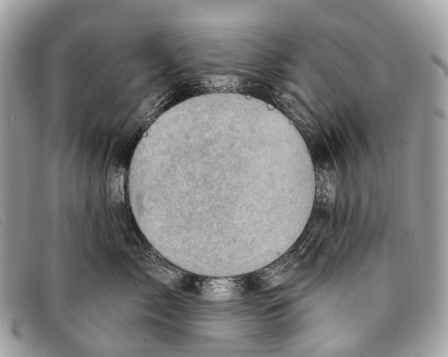 X0000097830717200804111039