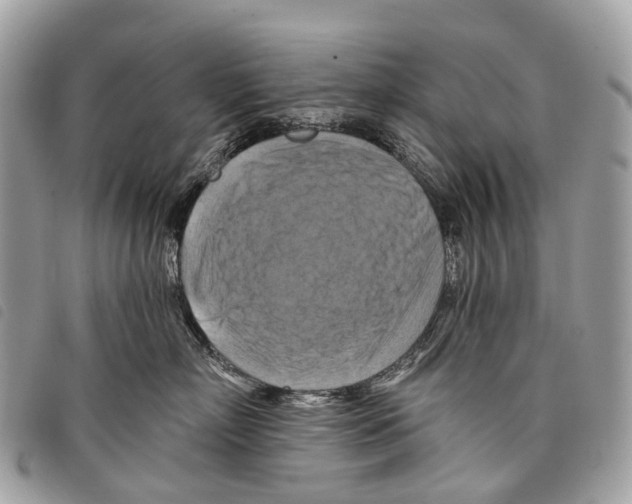 X0000097830718200804111039