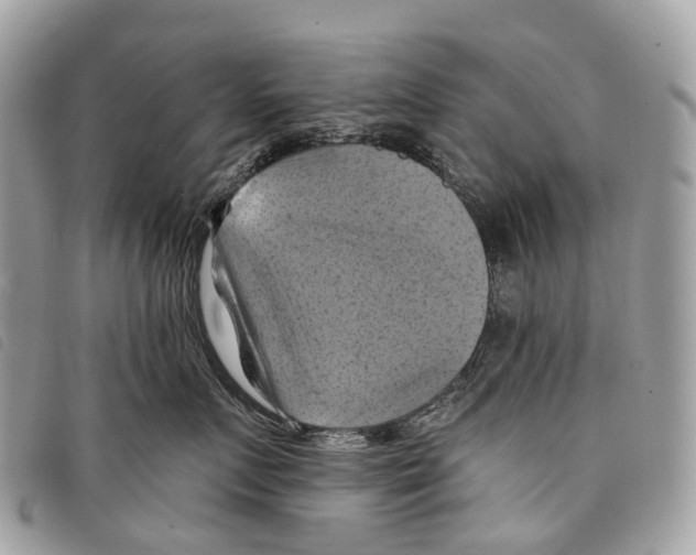 X0000097830719200804111039