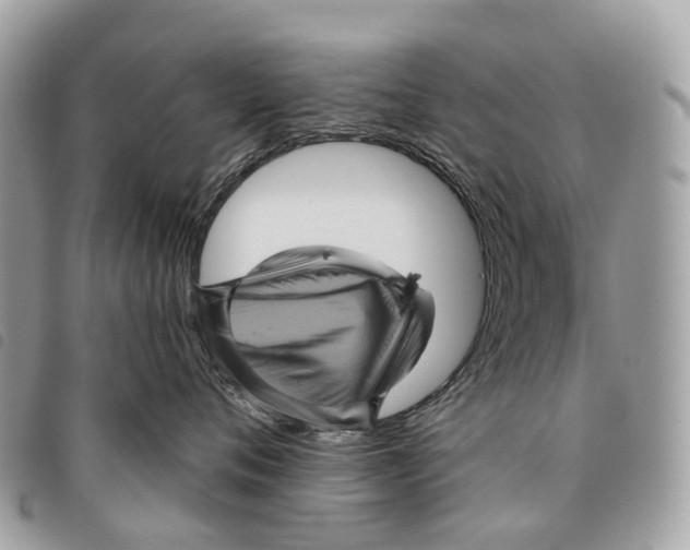 X0000097830720200804111039