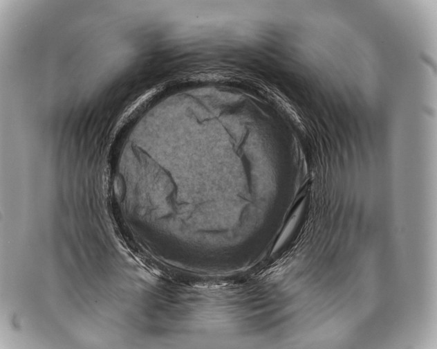 X0000097830724200804111038