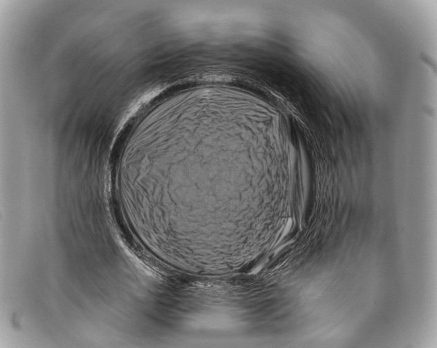 X0000097830726200804111039