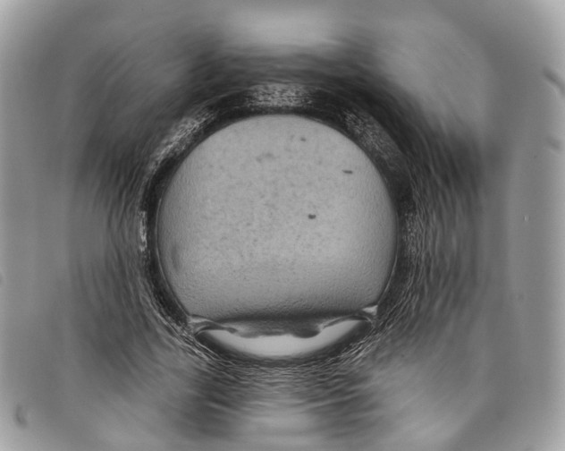 X0000097830731200804111039