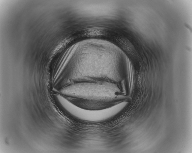 X0000097830732200804111039