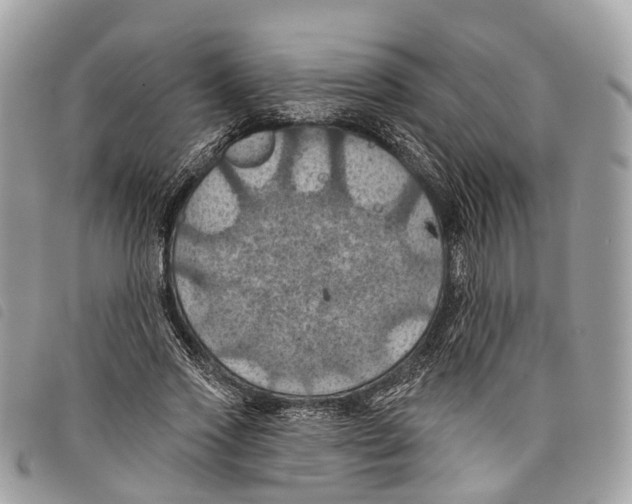 X0000097830733200804111039